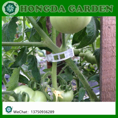 Cross-Border Plant Fixing Clip Tie Tendril Clip Tomato Clip Hanging Vine Tomato Clip Hanging Seeding Clip for Vine Fixing