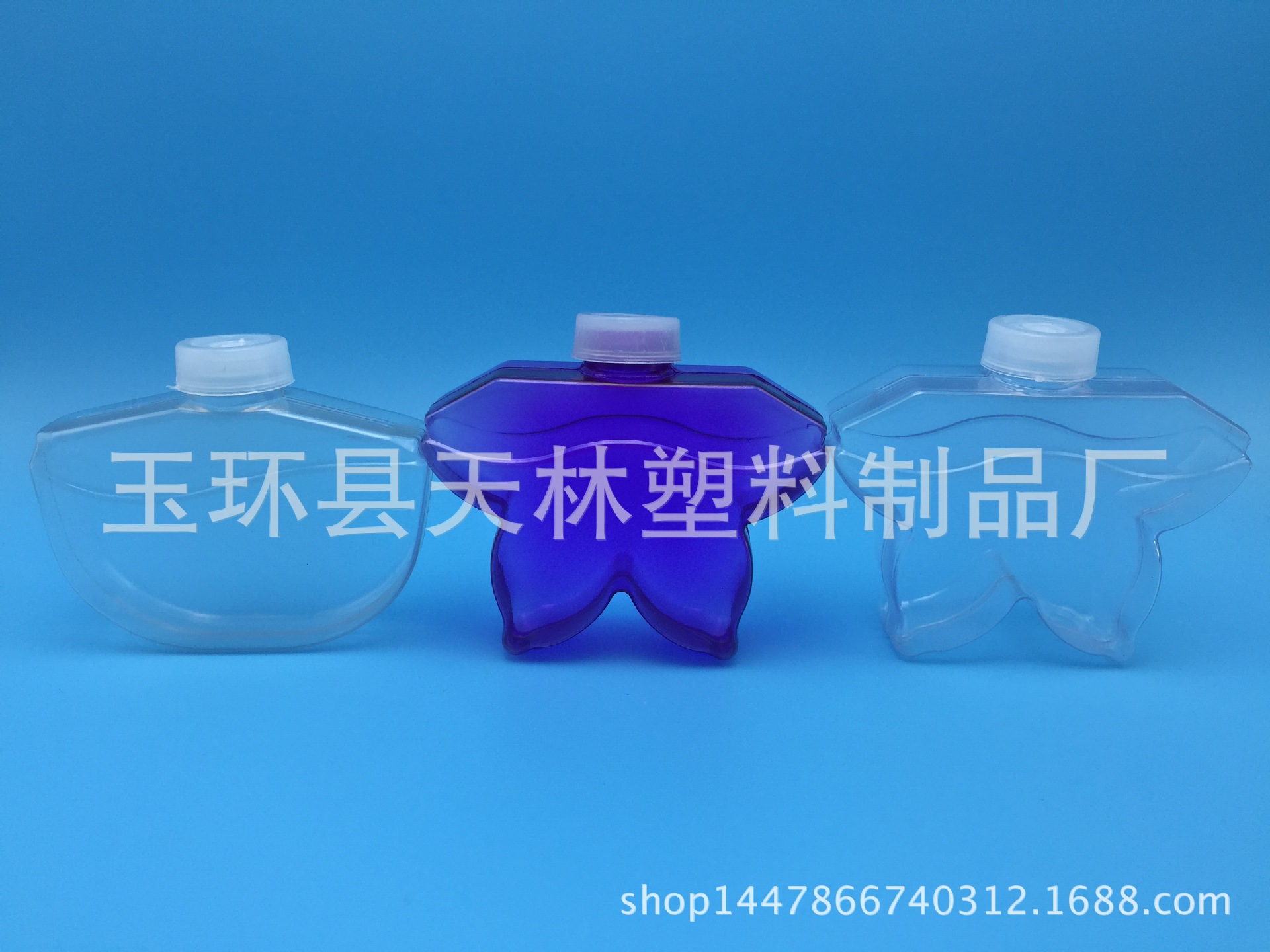 Product Image Gallery