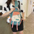 Foreign Trade Chest Bag Female Crossbody Ins New Bags Shoulder Bag Handbag Female Student Korean Style Cool Contrast Color Backpack
