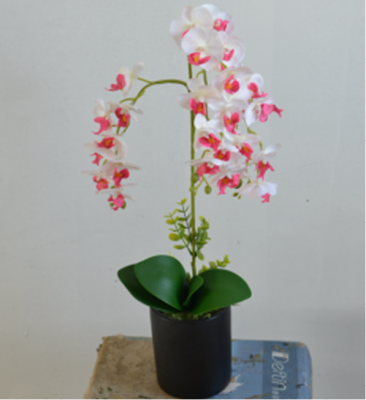 Simulation Plant Ornaments Bonsai Single Phalaenopsis Series Decoration Living Room Bedroom Study Decoration