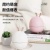 Cute Rabbit Mini USB Night Light Air Humidifier Household Mute Moisturizing Spray Pregnant Mom and Baby Humidifier