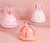 Yw Cony Rabbit Colorful Ice Cup Plastic Cup Summer Fresh Girl's Heart Net Red Water Cup Spot Stock