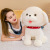Factory Wholesale Poodle Plush Toy Cute Dog Doll Gifts for Children and Girls Doll Comfort Ragdoll