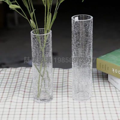 Glass Transparent Simple Modern Living Room Ice Flower Lucky Bamboo Water Bamboo Fashion Creative Dining Table Size Cylinder Vase