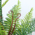 Simulation 12 Persian Leaf Plants Ferns Green Plant Wall Accessories Plastic Persian Grass