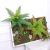 Artificial Persian Leaf Wall Plant Wall Background Wall Plastic Flowers and Grass Green Plant Decoration Green Flower Wall Fake Flower Green Leaves