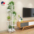 Flower Stand Living Room Floor Iron Multi-Layer Indoor Multi-Functional Hanging Basket Succulent Green Radish Shelf Special Offer Space-Saving Decoration