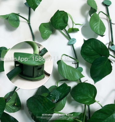 Leaf Holder Vine Plant Indoor Organizing Clip Climbing Wall Seamless Nail-Free Flower Stand Wall Gift