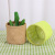 Solid Color Canvas Flower Pot Living Room Balcony Decoration Green Plant Flowers Green Gray Khaki Buggy Bag Factory Wholesale