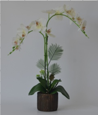 Factory Wholesale Simulation Phalaenopsis Bonsai Fake Flower Decoration Photography Furnishings and Props