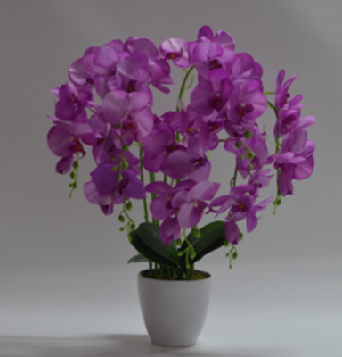 Artificial Phalaenopsis Potted Artificial Flower Bonsai Decoration Bedroom Showcase Ornament Decoration