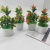 Artificial Flower Potted Flower Miniature Bonsai Desktop Decoration Two Yuan Store Creative Product Source Goods