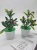 Artificial Flower Potted Flower Miniature Bonsai Desktop Decoration Two Yuan Store Creative Product Source Goods