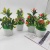 Artificial Flower Potted Flower Miniature Bonsai Desktop Decoration Two Yuan Store Creative Product Source Goods