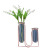 Nordic Ins Style Home Light Luxury Decoration Simple Modern Iron Hydroponic Glass Vase Creative Decorative Flowerpot