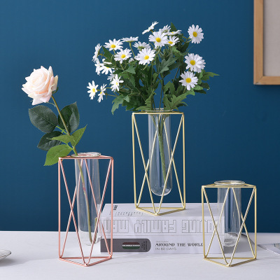 Nordic Modern Light Luxury Wrought Iron Glass Vase Test Tube Hydroponic Plant Creative Home Decoration Triangle Decoration Wholesale