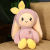 Cute Bunny Plush Toy Doll Doll Children's Bed Sleep Companion Pillow Super Cute Girls' Gifts