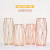 Nordic Ins Iron Vase Simple Transparent Glass Hydroponics Flower Rose Gold Diamond Soft Decoration Ornaments