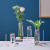 Nordic Ins Style Home Light Luxury Decoration Simple Modern Iron Hydroponic Glass Vase Creative Decorative Flowerpot