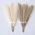 Artificial Pampas Grass Grey/White/Pink Dried Reed Flowers Bouquet Fake Plant For Christmas Home Decor Wedding Flowers B