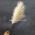 Artificial Pampas Grass Reed Plant Wedding Bouquet Home Room Christmas Decor Outdoor Garden Vase Decorations DIY Accesso