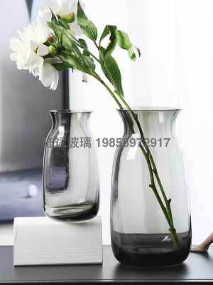 Nordic Light Luxury Glass Vase Transparent Hydroponic Living Room Dining Table Creative Decoration Dried Flower Inserting Flowers Simple