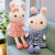 2021 New Internet Celebrity Products JK Rabbit Plush Toys Little Bunny Children's Doll Ragdoll Gift Wholesale