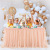 Factory Direct Sales Tulle Table Skirt Wedding Ceremony Decoration Hotel Table Cover Tutu Yarn Table Skirt Birthday Party Tablecloth