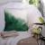 New Modern Light Luxury Pillow Cover Bedroom Waist Pillow Peach Skin Fabric Sofa Cushion American Style Houseware