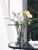 Light Luxury Gold-Painted Glass Vase Transparent Nordic Simple Living Room Lily Rose Flower Arrangement Hydroponic Flower Pot Creative Decoration