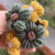 New Wool Flowers Hand-Woven Acrylic Clothing Accessories Color Puff Flower Crochet Flower Wholesale