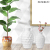 Creative Nordic Solid Color Irregular Wave Resin Vase Minimalist Soft Decoration Home Model Room Ornament