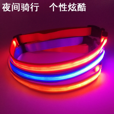 USB Rechargeable LED Light-Emitting Belt Riding Climbing Light Outdoor Dog Training Activity Night Running Reflective Pant Belt Reflective Material