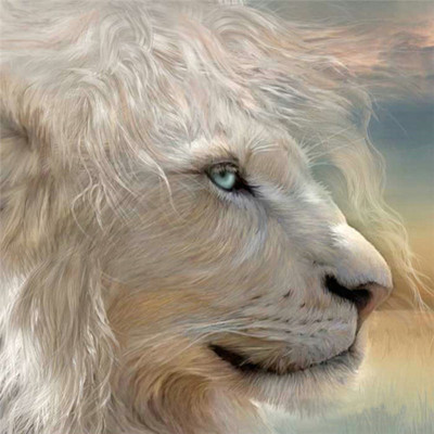 Resin Square round Full Diamond Painting White Lion Home Hanging Painting Decorations DIY Craft Enterprise Foreign Trade Cross-Border Hot