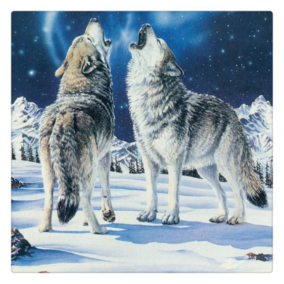 Resin Square Diamond Full Diamond Painting Decorative Painting Two Tibetan Wolf Home Crafts Foreign Trade Cross-Border Hot One Piece Dropshipping