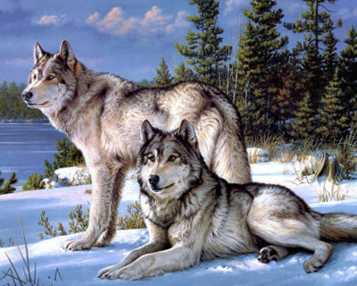 DIY Two Wolves Living Room Decorative Painting Cross Stitch 5D Full Diamond Hanging Painting Crafts Foreign Trade Popular Style Wholesale