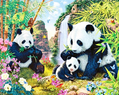 Wish Amazon Taobao Hot Sale at AliExpress DIY Square Diamond Full Diamond Painting Panda One Home Decoration Customization