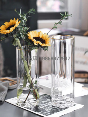 Nordic Simple Creative and Slightly Luxury Transparent Vase Hydroponic Lucky Bamboo Lily Glass Vase Living Room Table Decoration