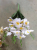 Single Bunch Beautiful Artificial Flower Butterfly Orchid Party Wedding Silk Flower Decoration Living Room Indoor
