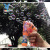 Electric Clownfish Bubble Gun Children's Toys Bubble Blowing Machine Little Fish Bubble Gun Outdoor Bubble Making Toys