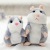 Talking Hamster Electric Hamster Can Learn to Speak and Record Walking Electric Plush Toy Christmas Wholesale