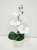3D Real Touch Home Decor Flore Artificial Butterfly Orchid Flowers For Home Wedding DIY Decoration Fake Moth Flor Orchid