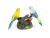 West Knight Hl513efgh Voice-Controlled Double Parrot Voice-Controlled Toy Electric Sound Control Bird Toy