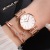 New Women's Steel Belt Fashion Personalized Quartz Watch Set Simple Exquisite Leaf Pattern Factory Direct Sales