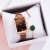 Set Fashion New Boxed Bracelet Magnet Strap Small Green Watch Trendy Ladies Square Head Quartz Women's Watch
