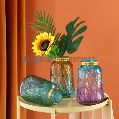 Nordic Style Transparent Glass Vase Decoration Living Room Dried Flowers Flower Arrangement Creative Water Plant Table Top Decoration