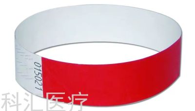 Paper Wristband