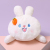 Cute Pillow for Sleep Girl Rabbit Doll Internet Celebrity Super Soft Plush Toy Dormitory Doll Student Pillow