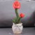 Tiktok Dance Cactus Cross-Border Enchanting Tulip Twist Music Song