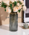 Nordic Style Transparent Glass Vase Decoration Living Room Flower Arrangement Dining Table Simple and Modern Furnishings Decorations